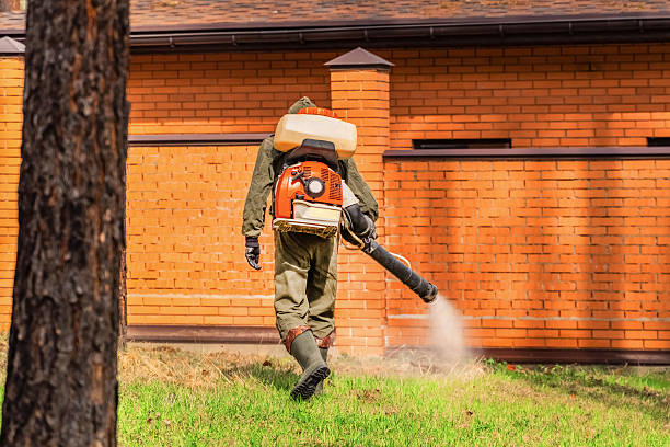 Trusted Termite Control service in Beattystown, NJ - Nex Pest Control